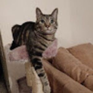 Meet your Posher, Corrina